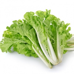 Cải Bẹ Dún